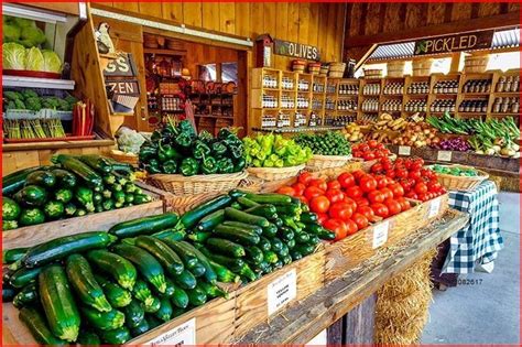 Vegetable stand near me - Top 10 Best Fruit Stands in Tampa, FL - February 2024 - Yelp - Hillsborough Ave Farmers Market, Bearss Groves, Elote Stand, Parkesdale Farm Market, Lakeview Organic Produce, Tampa Bay Farmers Market, Mr Mango Tampa, Dooley Groves, Fresh Market of Hyde Park, Yellow Banks Groves